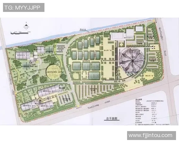 武汉网球队的节奏革新探索与实践:重塑竞技风格与团队协作新模式 武汉网球队的节奏革新探索与实践:重塑竞技风格与团队协作新模式