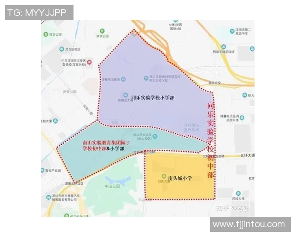 深圳乒乓球队近期状态分析与表现评估探讨