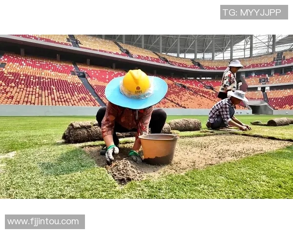 世界杯特别报道：重庆足球队的逆袭之旅